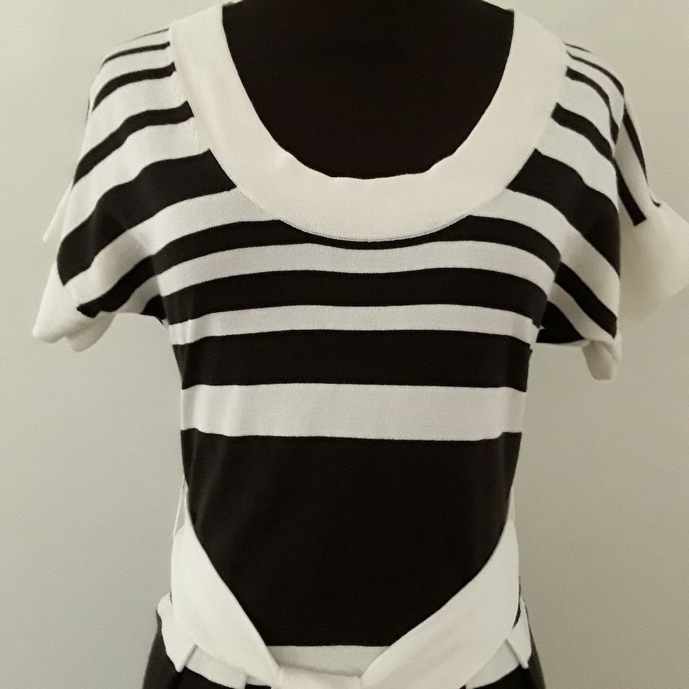 Banana Republic Scoop Neck Striped Sheath Dress - Picture 4 of 13